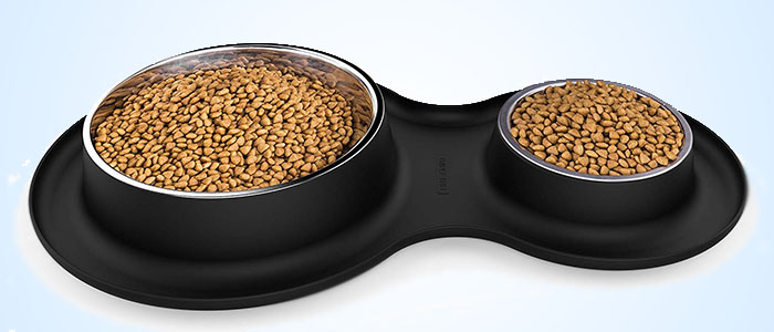What Are Weighted Dog Bowls?